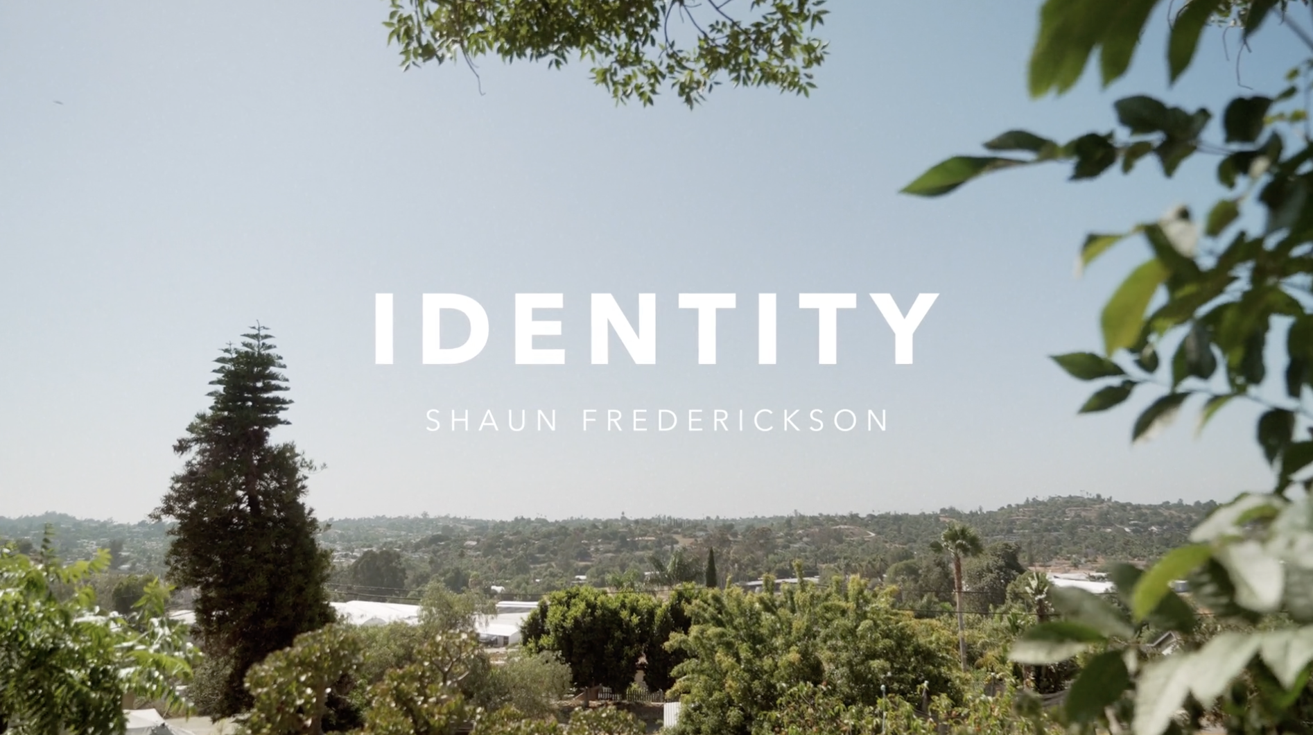 Shaun Frederickson - My Identity