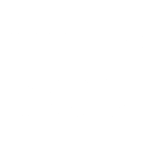 FILM-DOC Logo white 1